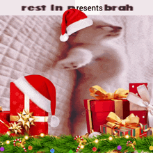 Christmas Cat GIF - Christmas Cat Presents GIFs