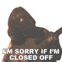 I'M Sorry If I'M Closed Off Dillon James Sticker - I'M Sorry If I'M Closed Off Dillon James My Shadow Song Stickers