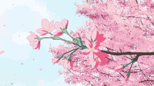 Sakura Spring GIF - Sakura Spring Japan GIFs