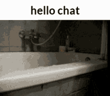 Hello Chat Burmese Python GIF - Hello Chat Burmese Python Python GIFs