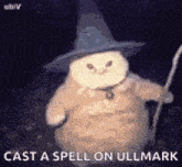 a stuffed animal wearing a witch hat and holding a wand .