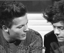 I ´m Larry Shipper GIF - One Direction Larry Harry Styles GIFs