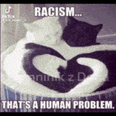Racism Human Problem GIF - Racism Human Problem GIFs
