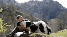 Love GIF - Cow Cows Bff GIFs