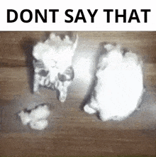 Dont Say GIF - Dont Say That GIFs