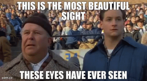 Rudy Most Beautiful Sight GIF - Rudy Most Beautiful Sight Notre Dame -  Discover & Share GIFs