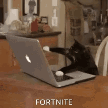 Cat Playing GIF - Cat Playing Fortnite GIFs