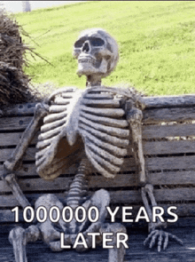 a skeleton is sitting on a wooden bench with the words " 1000000 years later " below it