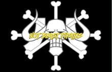 Not Beast Pirates Dont Use GIF - Not Beast Pirates Dont Use GIFs