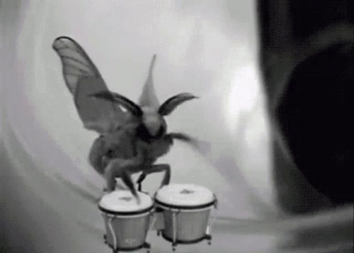 Moth Drum GIF - Moth Drum Drumming GIFs