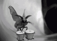 GIF