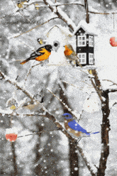 зима птички GIF - зима птички кормушки GIFs