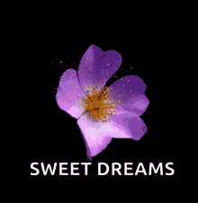 Sweet Dreams Flower GIF - Sweet Dreams Flower Sparkles GIFs