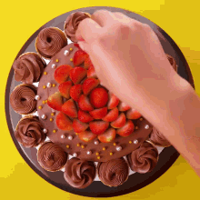 a person decorating a chocolate cake with strawberries