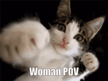 Slays Was Here Woman Pov GIF - Slays Was Here Woman Pov Cat GIFs