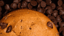 Crumbl Cookies Pumpkin Chocolate Chip Cookie GIF