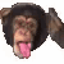 Chimp Crazy GIF - Chimp Crazy GIFs