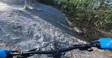 Bike Ride The Singletrack Sampler GIF - Bike Ride The Singletrack Sampler Downhill GIFs