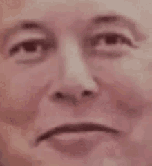 Elon Musk Elon Musk Smile GIF - Elon Musk Elon Musk Smile Elon Smile GIFs