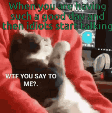 Cat Wtf You Say GIF - Cat Wtf You Say To Me GIFs