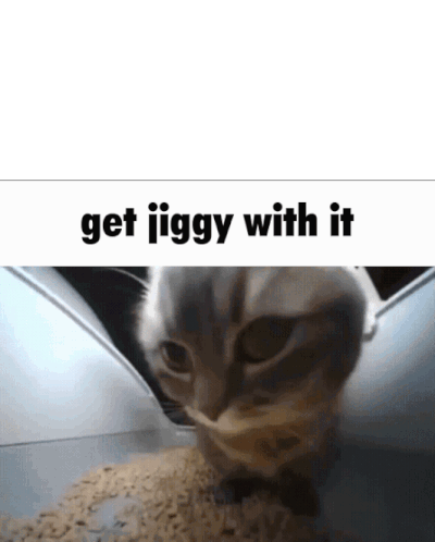 Get Jiggy With It Moving Gif Sticker - Get Jiggy With It Moving Gif Cat Gif Stickers