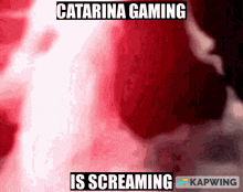 Catarinagaming Catarina Gaming GIF - Catarinagaming Catarina Gaming Is Screaming GIFs