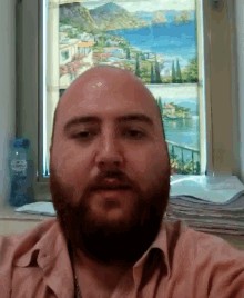 a bald man with a beard is looking at the camera