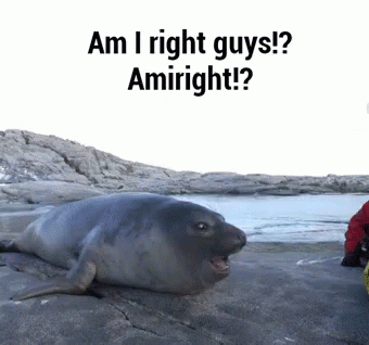amiright-seal.gif