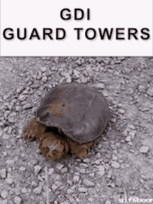 Gdiguardtowers Command And Conquer GIF - Gdiguardtowers Command And Conquer Gdi GIFs