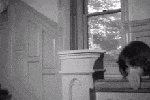a black and white photo of a woman looking out a window