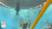 Swimming Race GIF - Swimming Race Swimmer GIFs