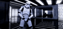 Stormtrooper Victory Pose - Star Wars GIF