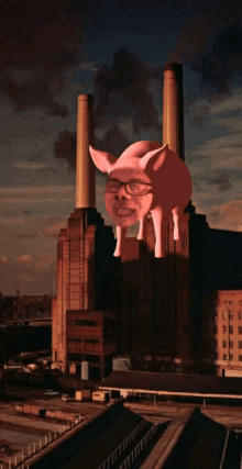 Pigs On The Wing GIF - Pigs On The Wing GIFs
