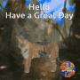 Hello Have A Great Day GIF - Hello Have A Great Day Great Day GIFs