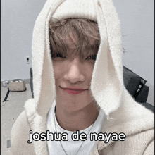 Joshua Seventeen Joshua Seventeen Nayae GIF - Joshua Seventeen Joshua Seventeen Nayae Joshua Nayae GIFs