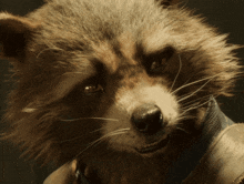 Raccoon Rocket GIF - Raccoon Rocket GIFs