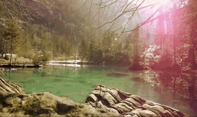 gif images of nature