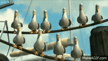 Chill Seagulls Nemo GIF - Chill Seagulls Nemo Cartoon GIFs