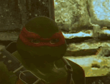tmnt teenage mutant ninja turtles raphael michelangelo ms big sausage