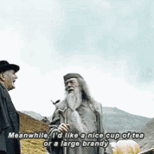 Tea Brandy GIF - Tea Brandy Dumbledore GIFs