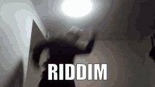 Riddim Dubstep GIF - Riddim Dubstep Music GIFs