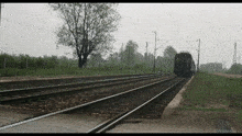 a train is going down the tracks with a tree in the foreground