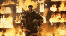 Fire Fighter Dogs GIF - Fire Fighter Dogs GIFs