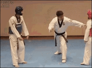 karate fight gif