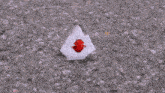 a close up of a robotic hand on a gravel surface