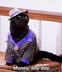 a black cat dressed in a suit and hat says money bay bay