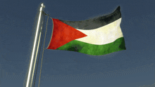a flag with a red white and green triangle in the middle