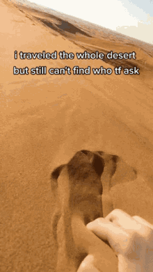 Travelled The Whole Desert But Didnt Find Who Ask GIF - Travelled The Whole Desert But Didnt Find Who Ask GIFs