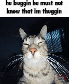 a cat with its eyes closed and the words he buggin he must not know that im thuggin