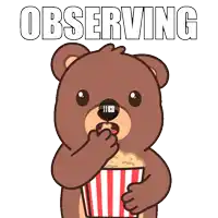 a cartoon of a bear eating popcorn with the words observing above it
